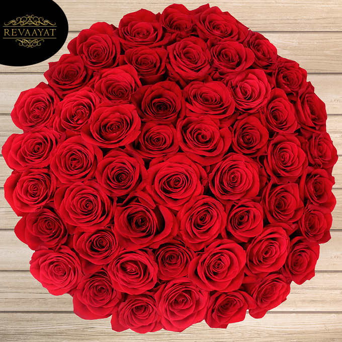 Lovely 50 Roses - Revaayat
